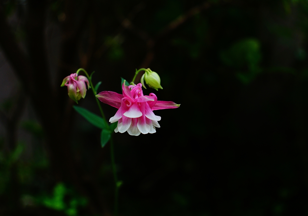 本日 天気予報に翻弄され