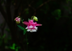 本日 天気予報に翻弄され