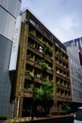 銀座一丁目「奥野ビル」