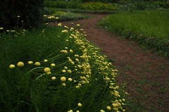 君の人生にエールをおくる