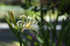 ゲッツ＆ターン＆リバース