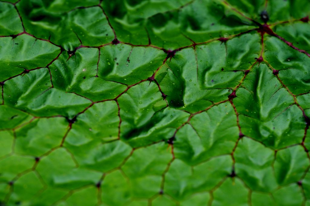 RPG：山岳鳥瞰図２