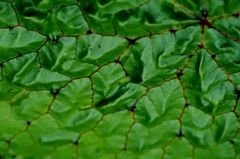 RPG：山岳鳥瞰図２