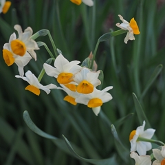 仲良しファミリー