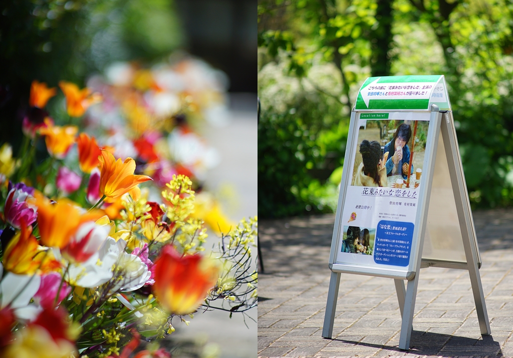 花束みたいな恋をした（改訂版）