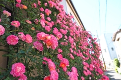 カメラを持った不審者