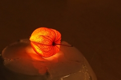 目黒雅叙園百段階段「和のあかり」展　⑤