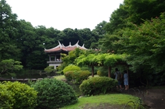 聖地巡礼「言の葉の庭」３