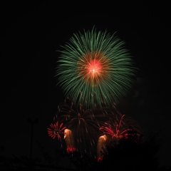 リベンジ  どうでしょう？