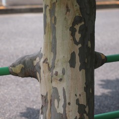 梨汁ﾌﾞｼｬー:;:;.,*+