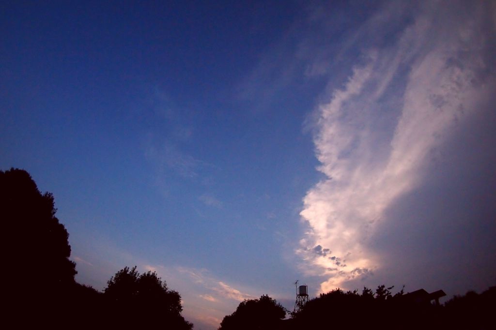 リベンジを誓う