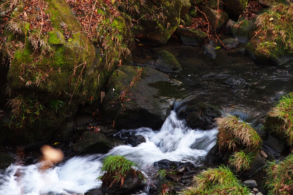 箱根ガラスの森美術館：番外編