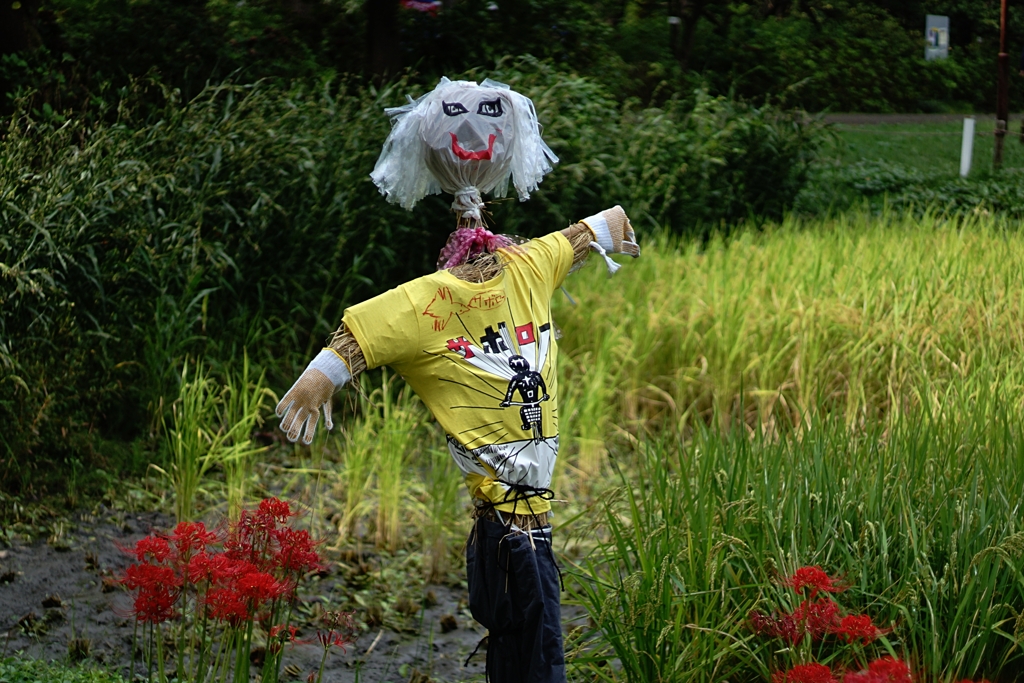 昨日のお気に入り3体