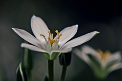 What happens twice will happen…