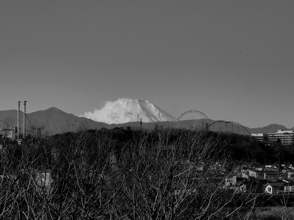 晦日 多摩川 富士