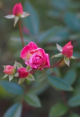 40秒で支度しな