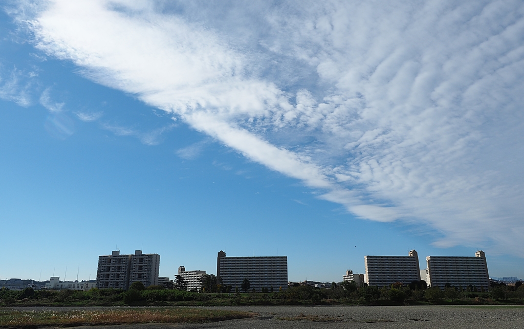 岸辺のアルバム