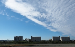 岸辺のアルバム