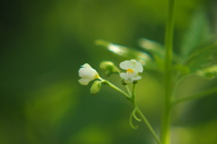 心ウキウキ♪ワクワク♪