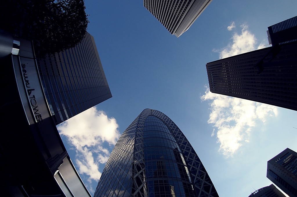 サミット：合意