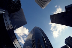 サミット：合意