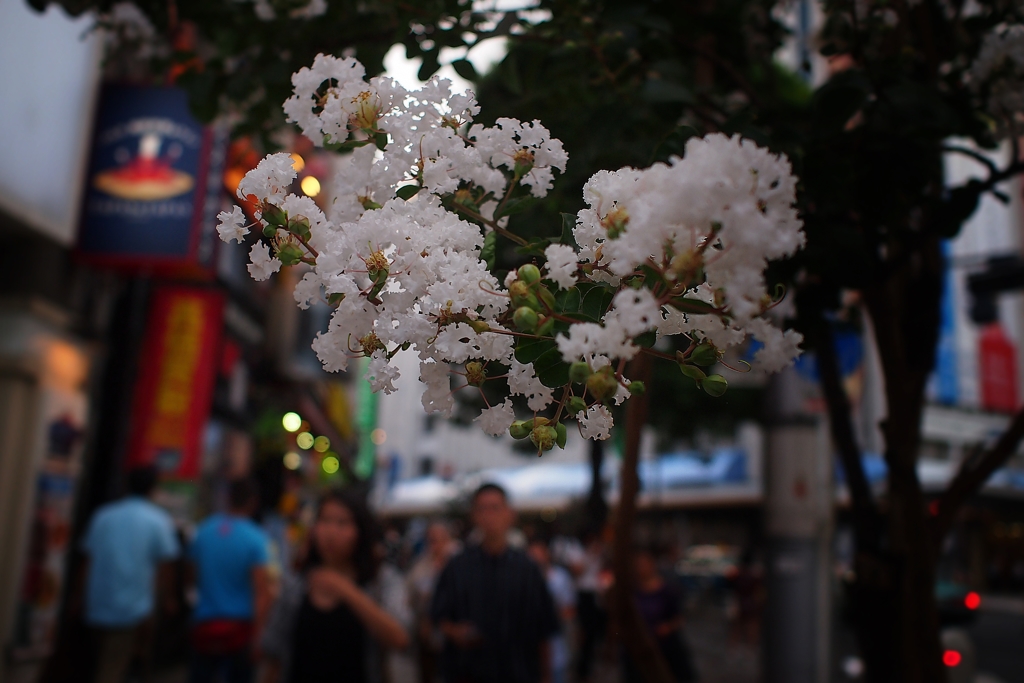 カメラのキタムラ前