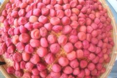 南高梅も美しい