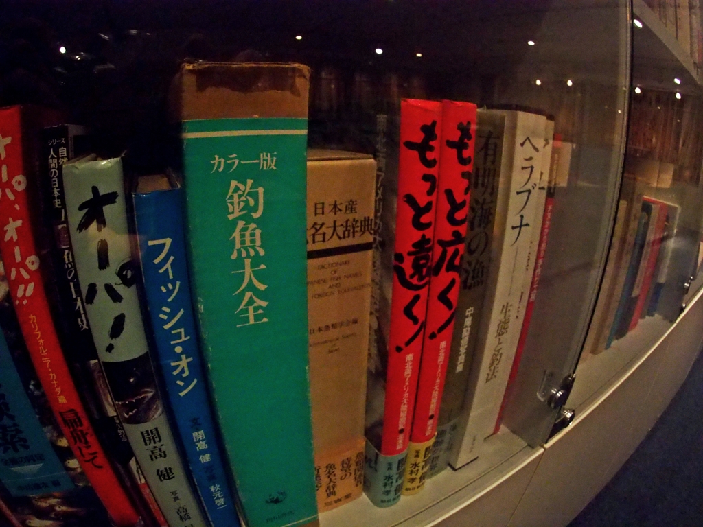 淡水は住人を華麗に仕立てる