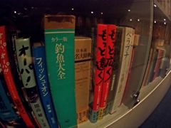 淡水は住人を華麗に仕立てる