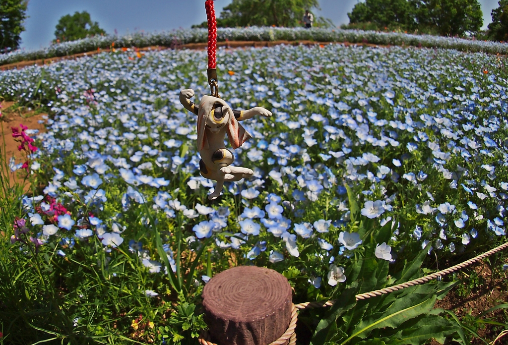 白き手ぬぐいを纏いて蒼色の野に降りたつべし