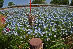 白き手ぬぐいを纏いて蒼色の野に降りたつべし