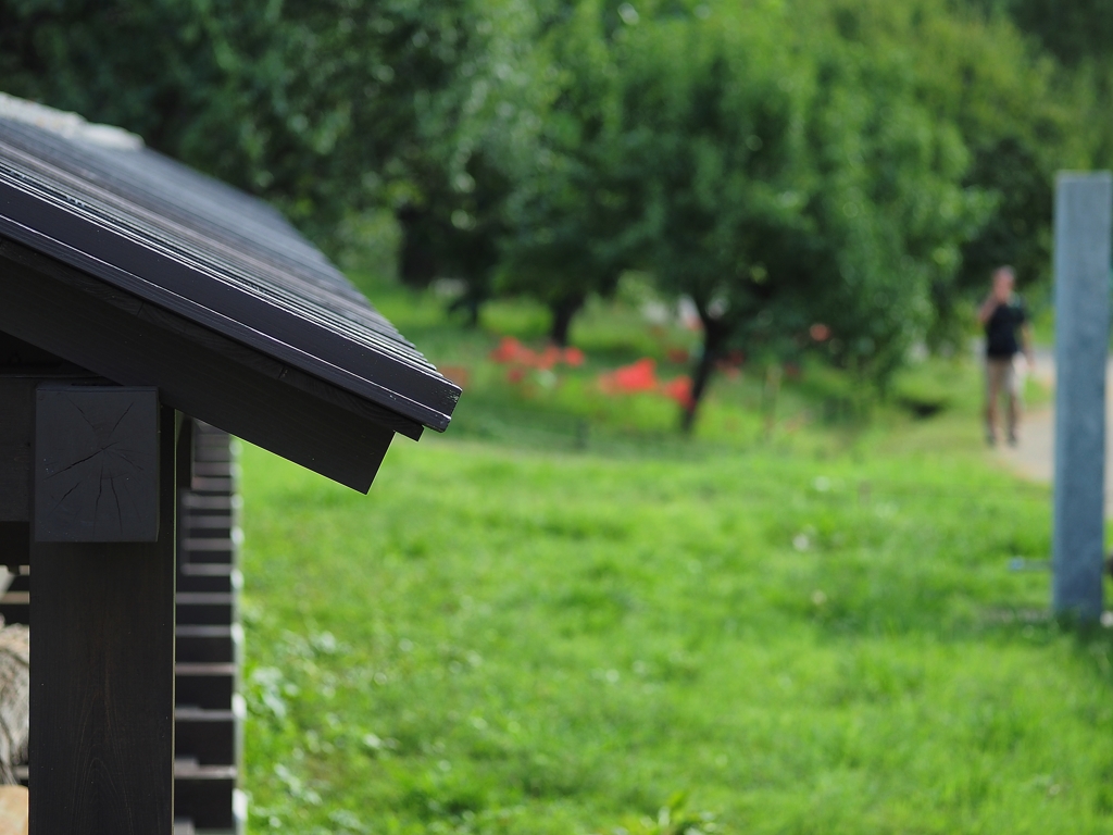 武蔵野 原風景２