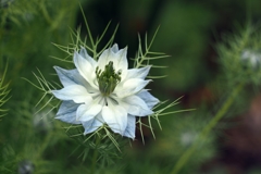 束縛を喜ぶ女心