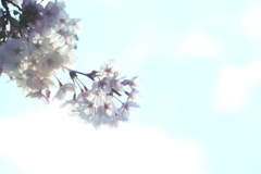 なぜ連鎖するのか ２