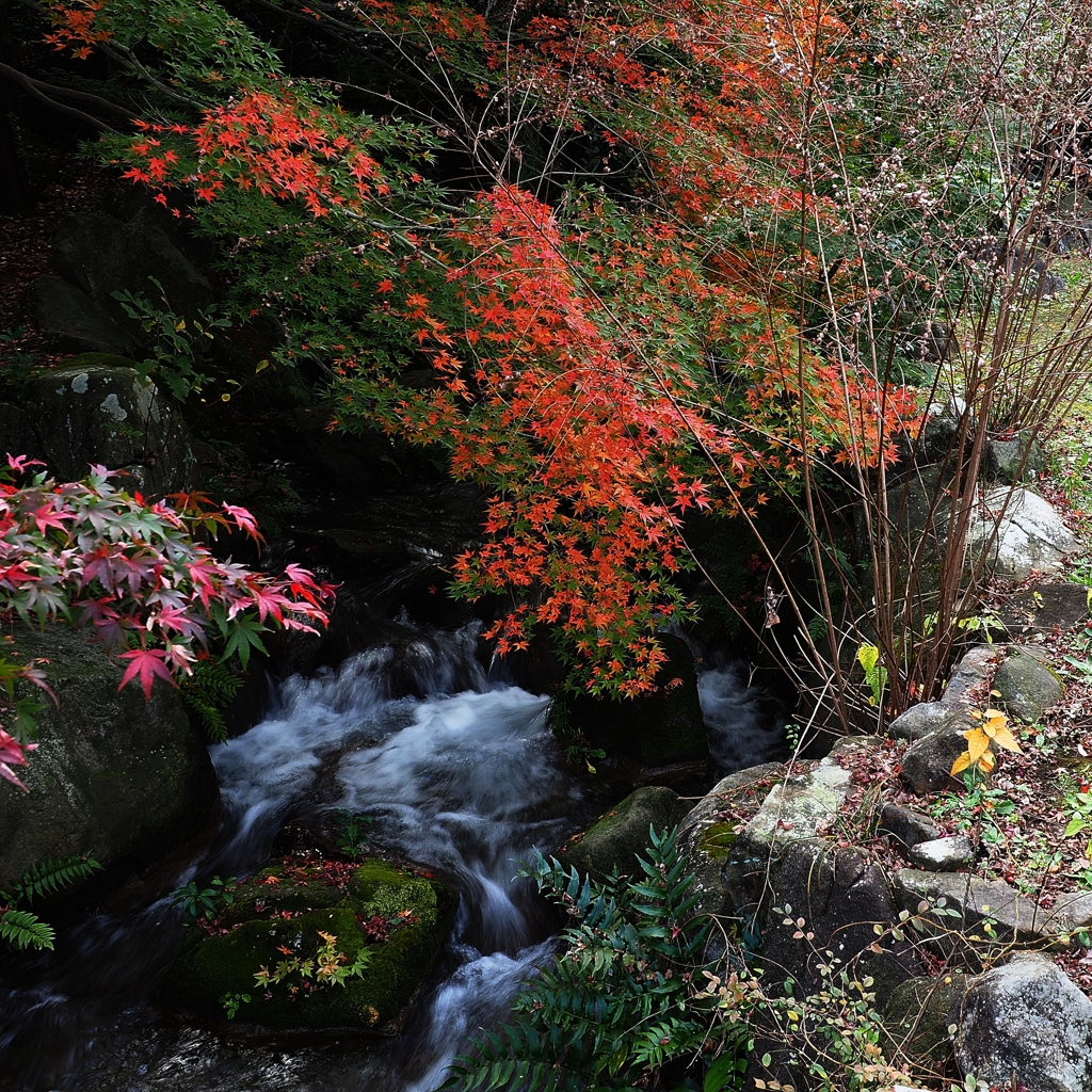 ２２kmチャリの旅①