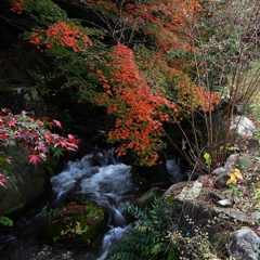 ２２kmチャリの旅①