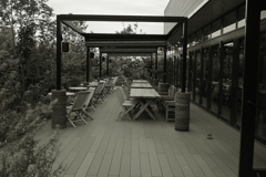 なぜ 誰もいないのか　？