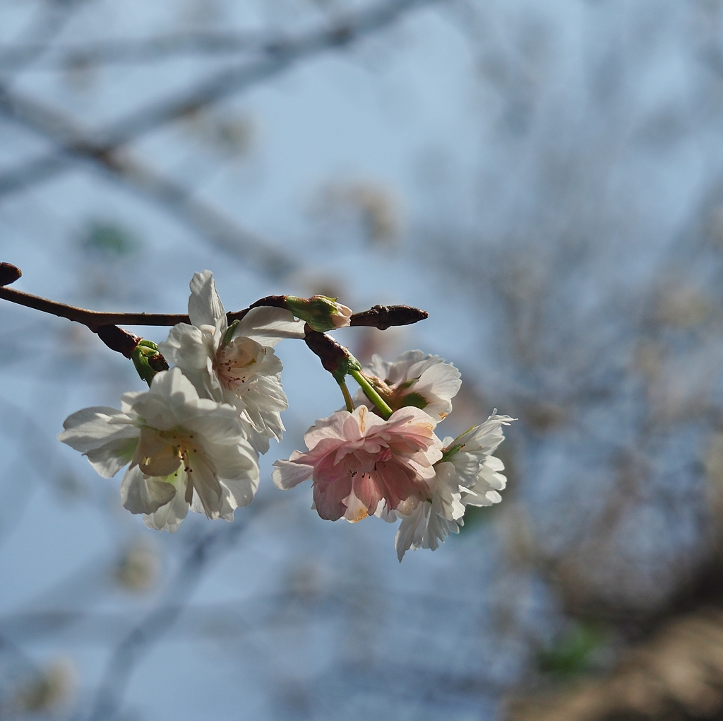 空がとても低い