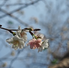 空がとても低い