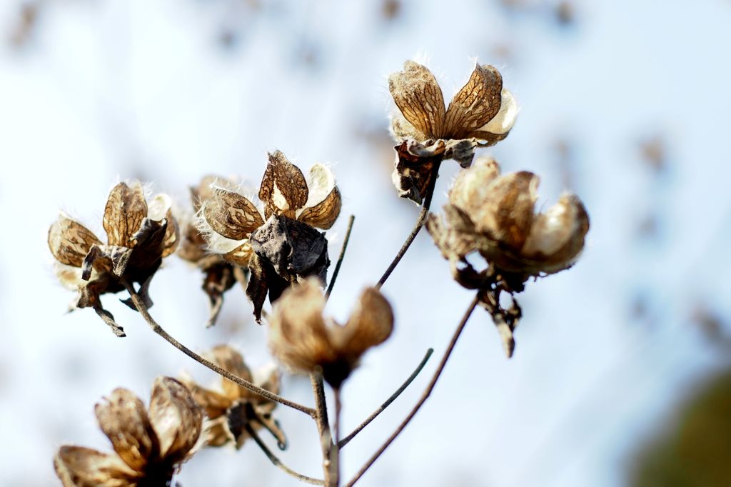 Ein Prosit（乾杯の歌）