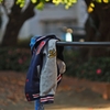 風の又三郎