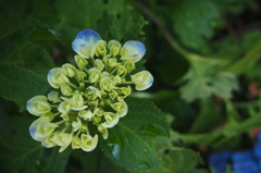 You were young in those days