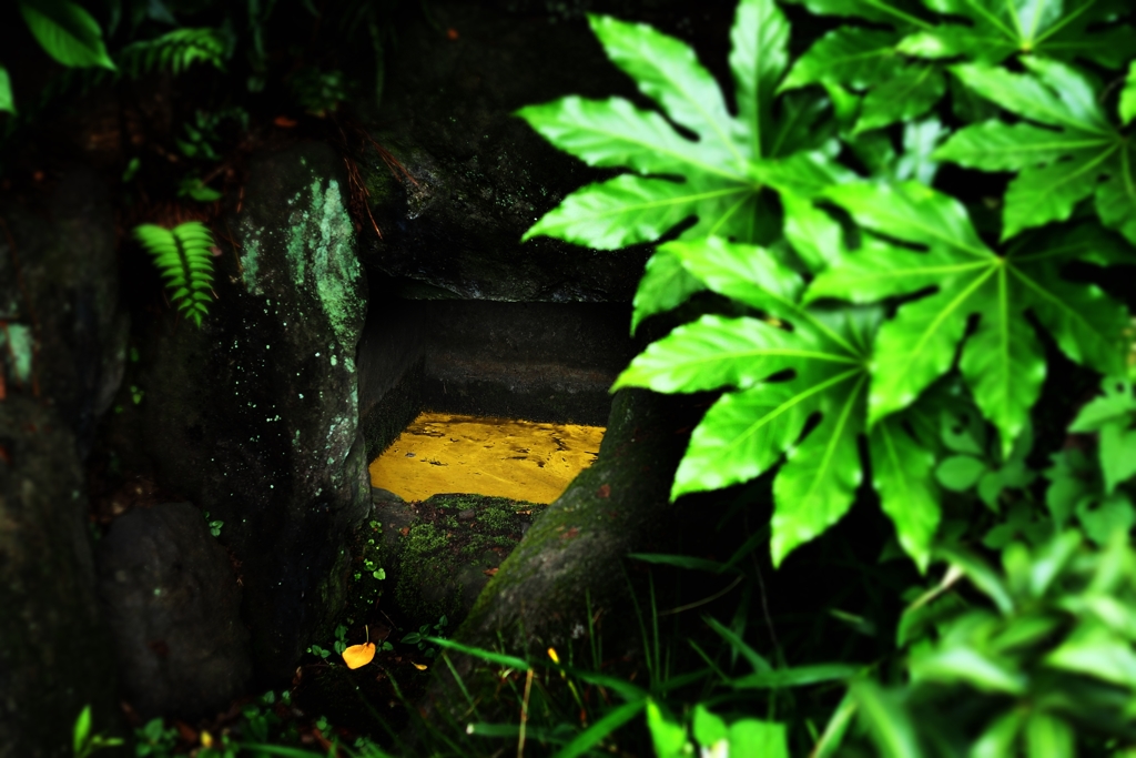 実篤公園 金の色紙