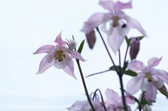 Hなワタシの知性の限界…２