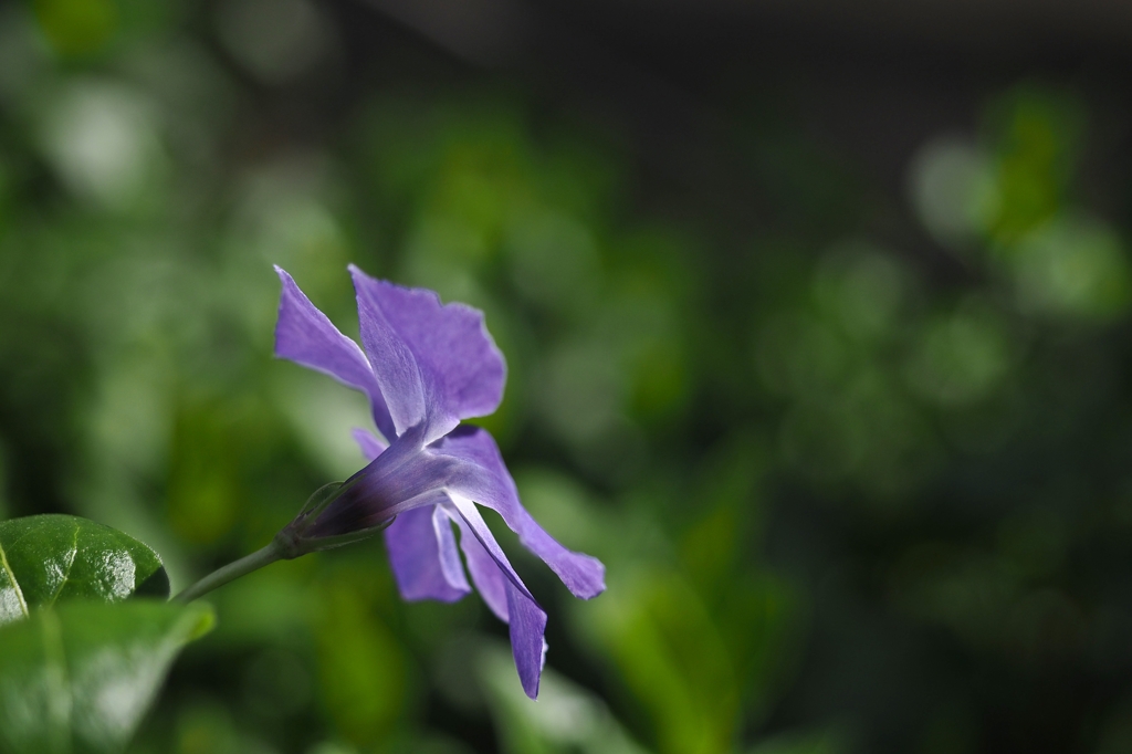 Hなワタシの知性の限界…