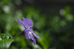 Hなワタシの知性の限界…