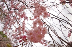 連続投稿ご容赦２