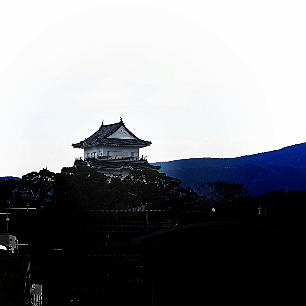 またね 伊豆半島