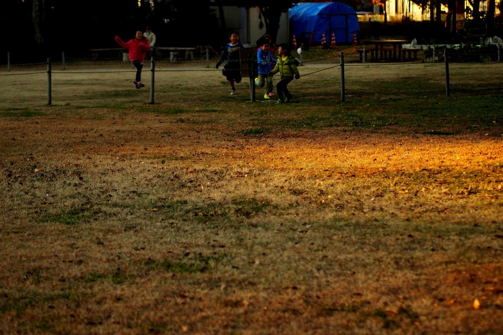 ダルマさんがころんだ♪