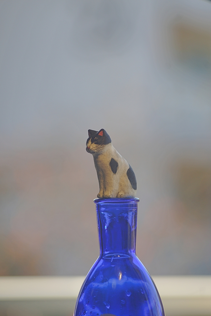 猫は孤高な生き物だと思っていた